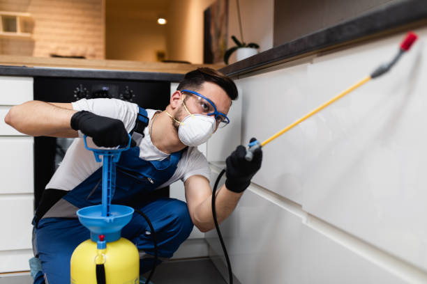 Best Bed Bug Extermination  in Buford, GA