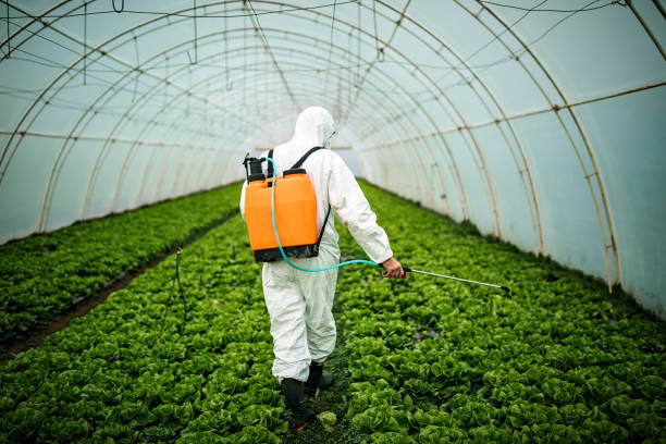 Best Best Pest Control Companies  in Buford, GA