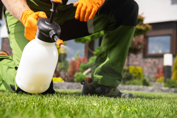 Pest Control Cost in Buford, GA