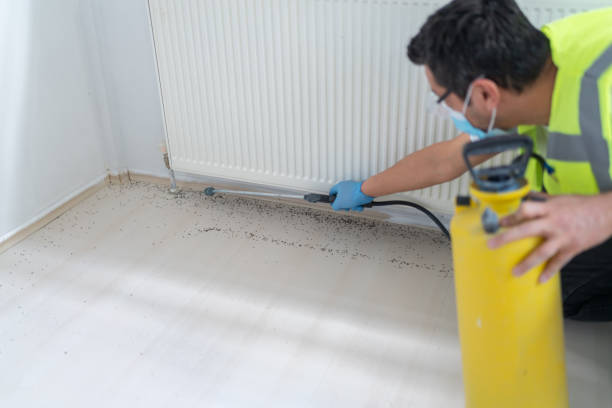 Best Pest Control Cost  in Buford, GA