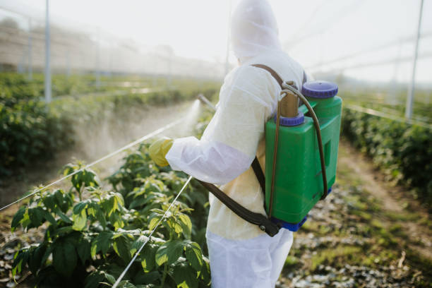 Reliable Buford, GA Pest Control Solutions